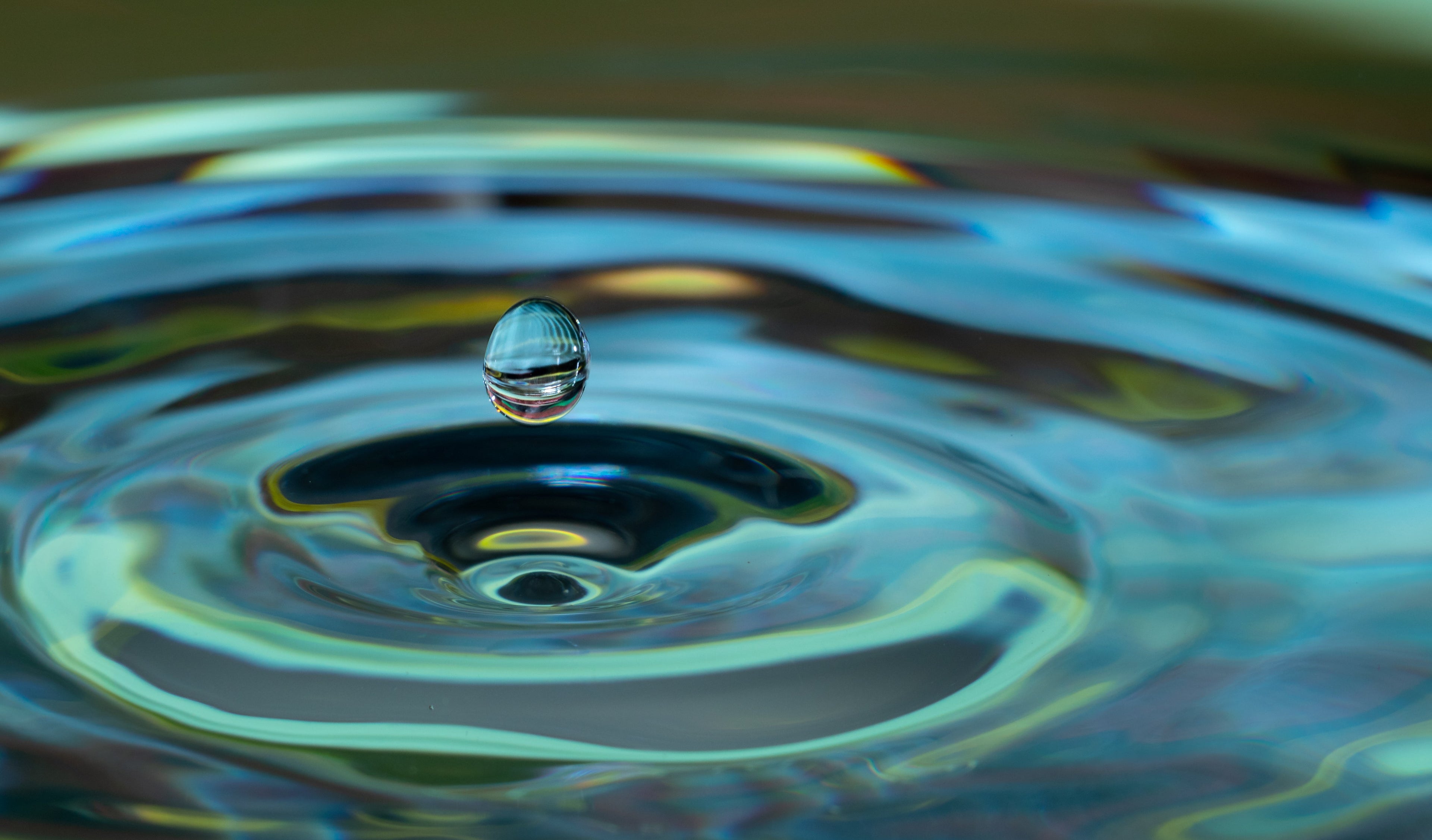Artesian Springs vs. Other Water Sources: What’s the Difference?