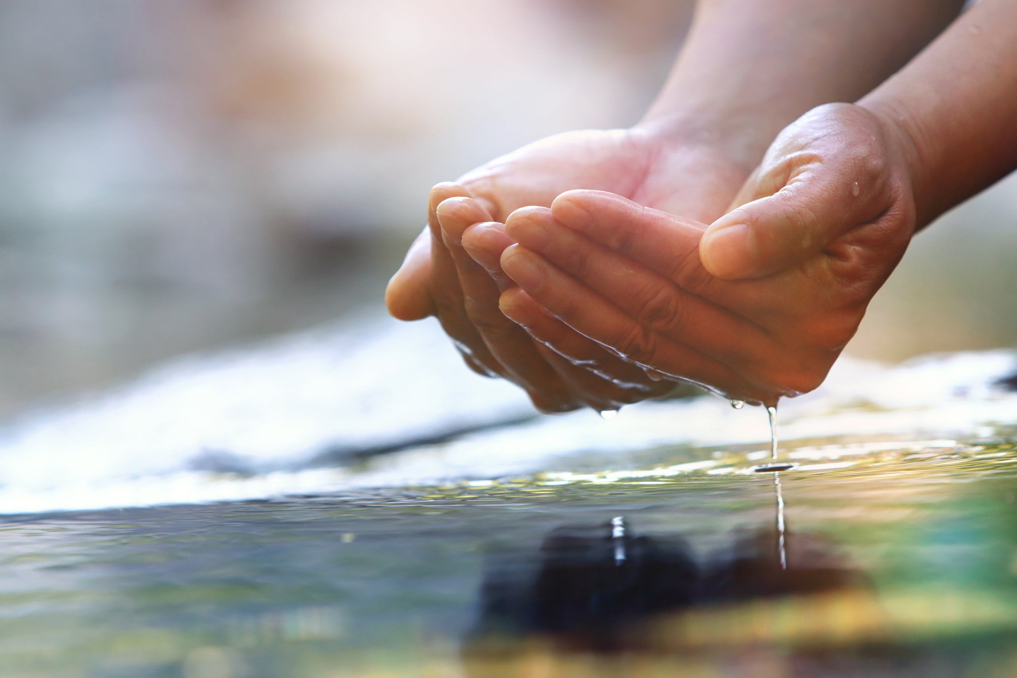 Behind the Scenes of a Sustainable Water Company: Sourcing, Bottling, and Impact