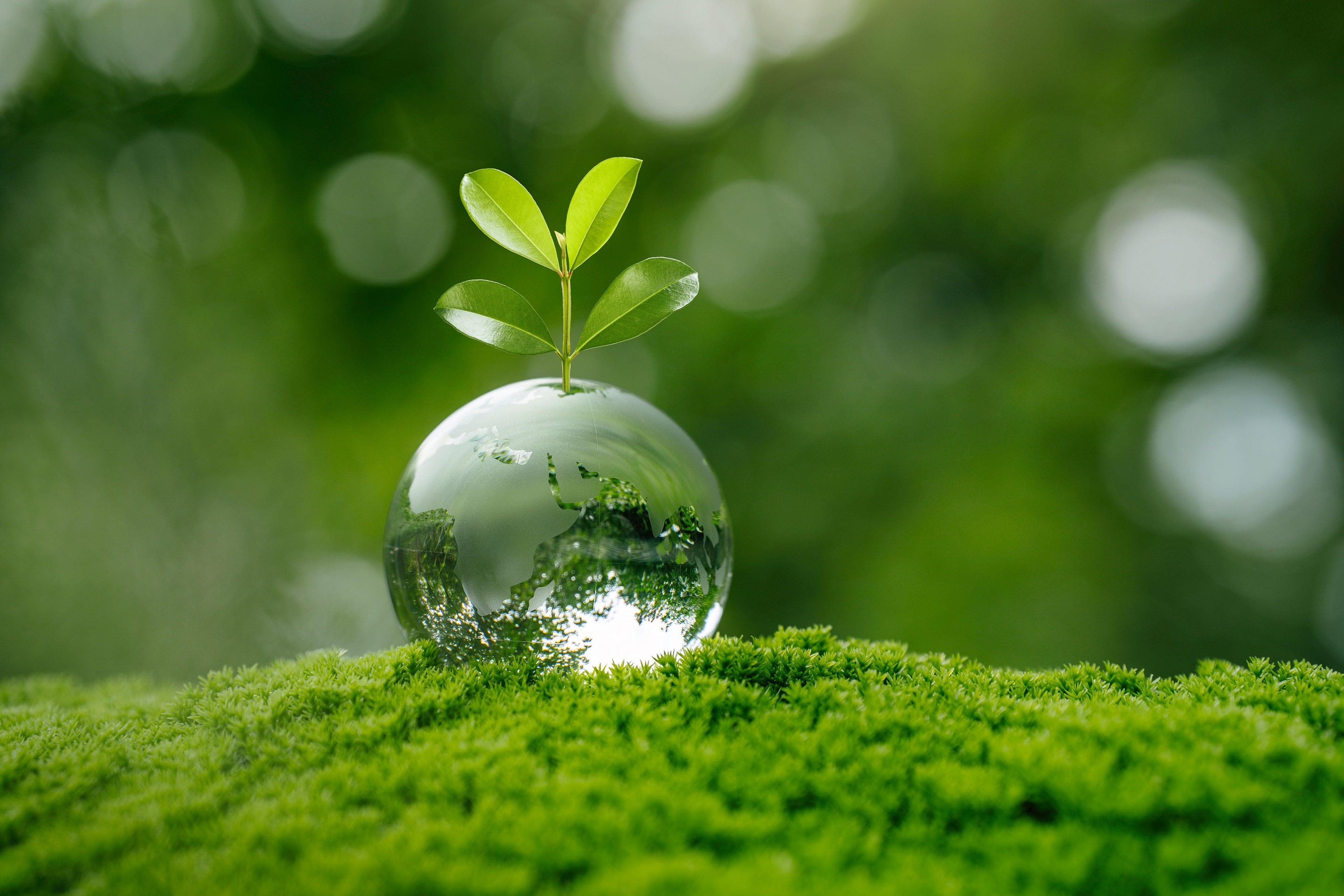 How to Choose the Right Artesian Water Brand for Quality and Sustainability
